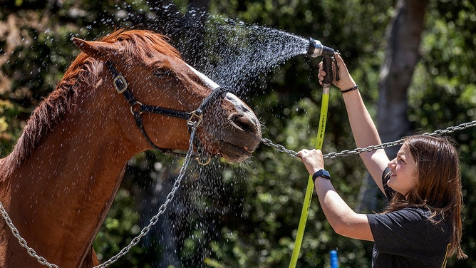 Helena Staszower, 16, sprays off the dust, and at the same time, cools off her horse Ember, a 7-year-old thoroughbred, at the Oak Canyon Equestrian Center in Santa Clarita.