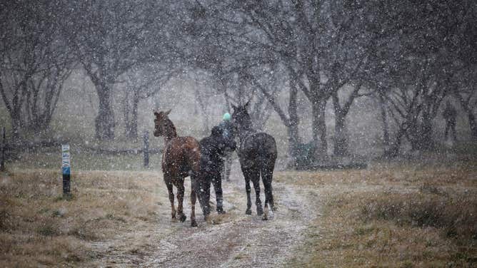 Snow in South Africa