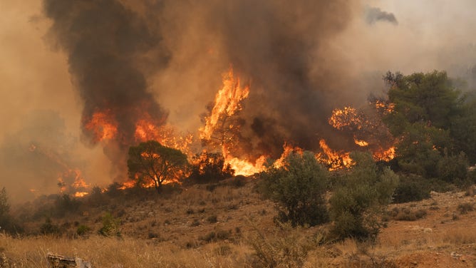 Burning trees in Nea Zoi in Nea Peramos, a place near Megara, Greece on July 19, 2023. After three days, firefighters are still fighting the flames in Nea Zoi.