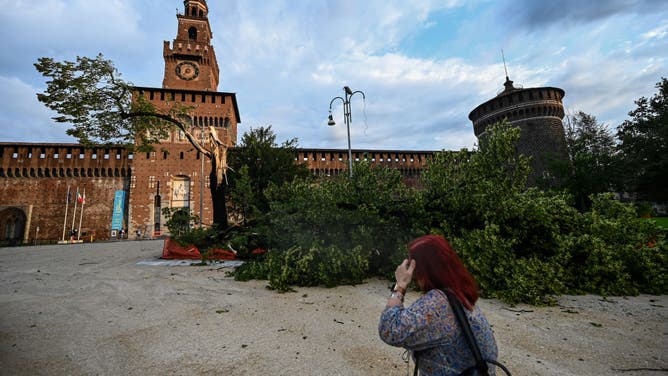 A resident walks past an uprooted tree by the Castello Sforzesco in Milan on July 25, 2023 after an overnight rainstorm hit the city.