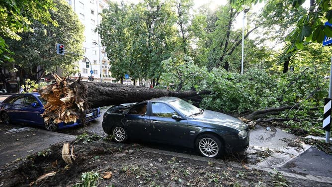 A tree falls over a car as heavy rain and wind cause damages in Milan, Italy on July 25, 2023.