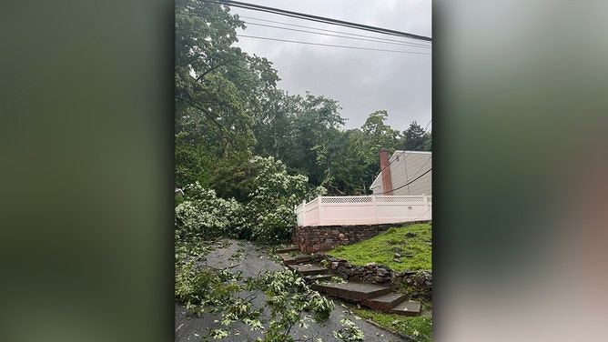 Tree damage is seen following a severe thunderstorm in Hastings-on-Hudson, New York, on Sunday, July 16, 2023.