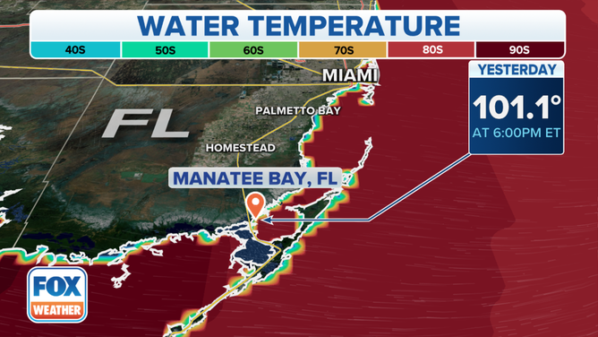 The water quality station at Manatee Bay in Everglades National Park had a sea surface temperature reading of 101.1 on July 24, 2023.