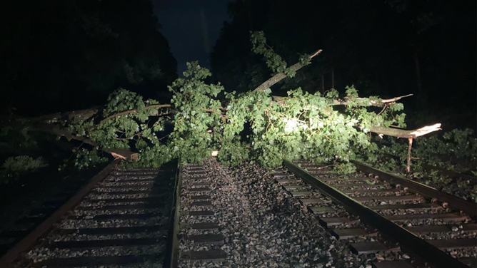 A tree is seen across railroad tracks in New York state on Sunday, July 9, 2023.