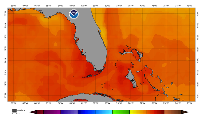 This NOAA map shows sea surface temperatures around Florida on July 24, 2023.