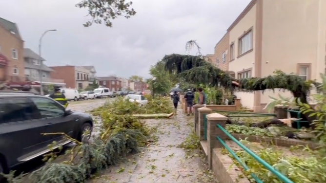 Storm damage in Brooklyn. July 25, 2023.