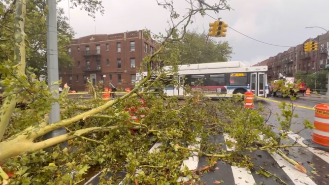 Storm damage in Brooklyn in New York City. July 25, 2023.