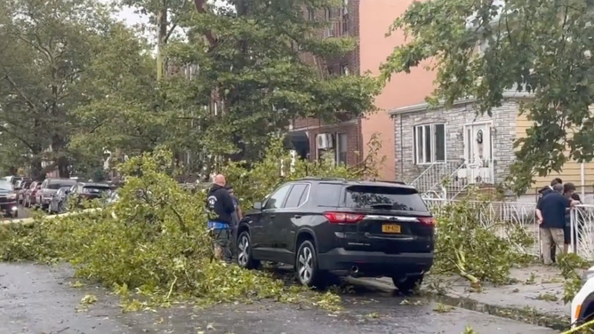 Storm damage in Brooklyn in New York City. July 25, 2023.