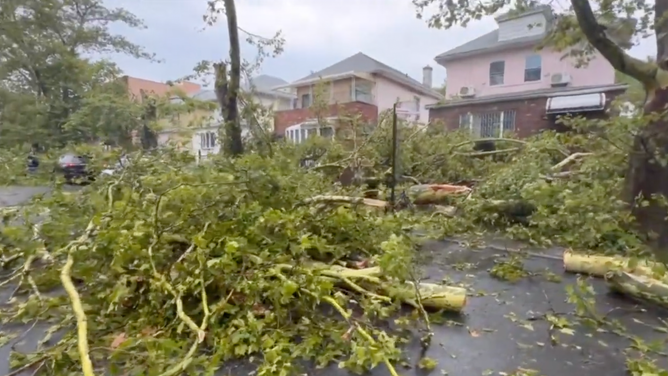 Storm damage in Brooklyn in New York City. July 25, 2023.