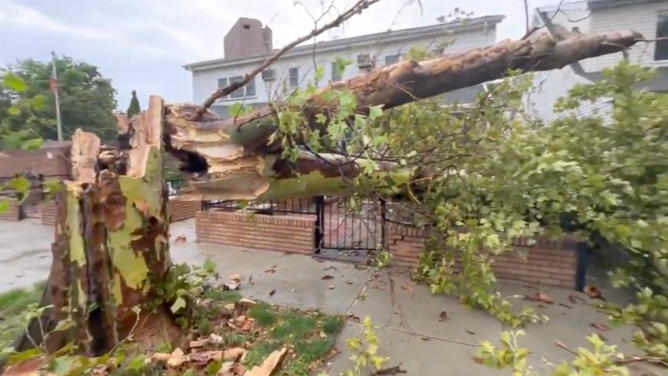 Storm damage in Brooklyn in New York City. July 25, 2023.