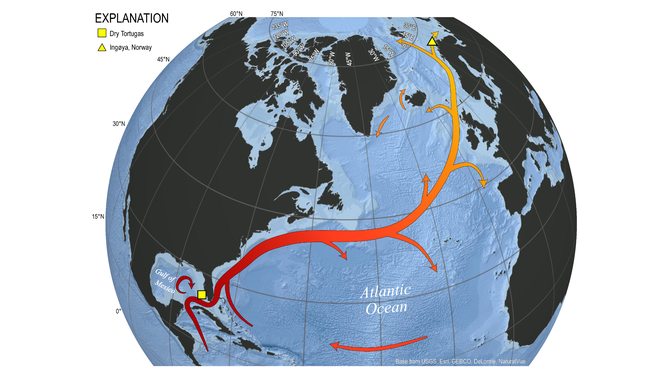 Map of the North Atlantic Ocean illustrating the approximate path of the Gulf Stream / North Atlantic Current system. Also labeled are study sites within the Gulf of Mexico (Dry Tortugas) and Barents Sea (Ingøya, Norway).