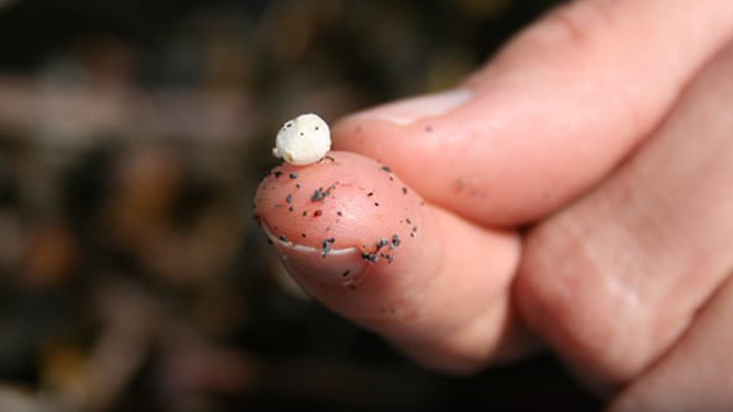 A piece of microplastic balanced on a fingertip.