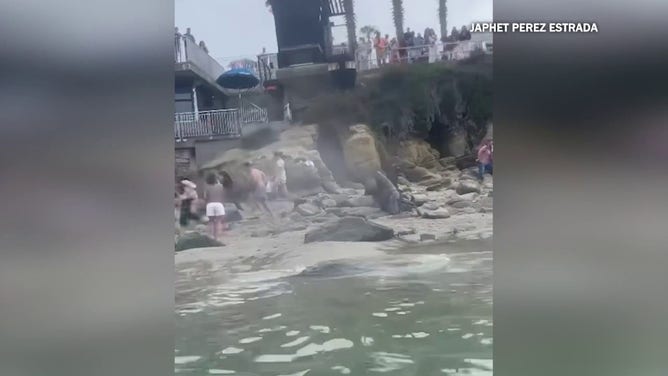 Beachgoers were seen fleeing as a sea lion charged toward them at La Jolla Cove in San Diego, California, on July 23.