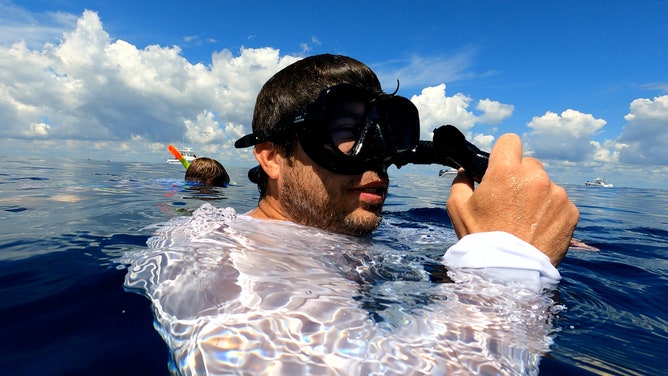 About 20 veterans swam with sharks on July 4, 2023 off the coast of Jupiter, Florida. The shark dive was organized by Shark Addicts and Wounded Veterans Relief Fund. (Image: Brandy Campbell/FOX Weather)