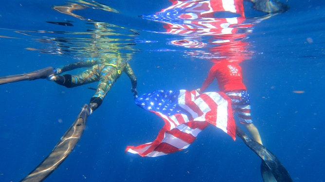 About 20 veterans swam with sharks on July 4, 2023 off the coast of Jupiter, Florida. The shark dive was organized by Shark Addicts and Wounded Veterans Relief Fund.
