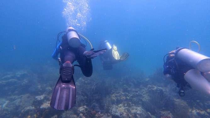 During a July 8 dive off Islamorada, Florida experts and volunteers with coral restoration non-profit I.CARE working to clean up reefs during a marine heat wave, giving reefs a helping hand during an event that could lead to coral mortality. (Image: Brandy Campbell/FOX Weather)