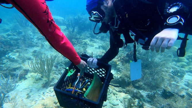 During a July 8 dive off Islamorada, Florida experts and volunteers with coral restoration non-profit I.CARE working to clean up reefs during a marine heat wave, giving reefs a helping hand during an event that could lead to coral mortality. (Image: Brandy Campbell/FOX Weather)