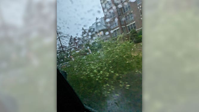 A damaged tree limb is seen in a St. Louis, Missouri, neighborhood after storms moved through the city July 1, 2023.