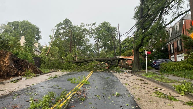Trees and power lines down in Wesley Heights area