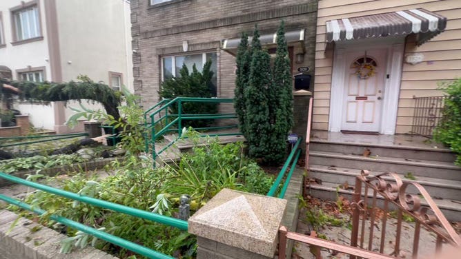 Storm damage in Brooklyn. July 25, 2023.