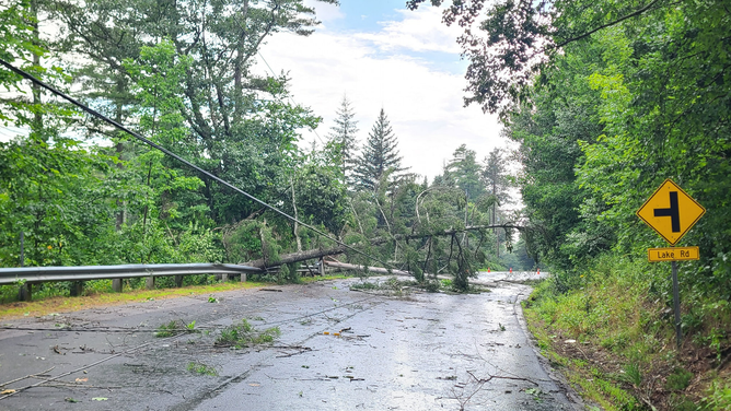Severe storms cause trees to fall in New Hampshire 