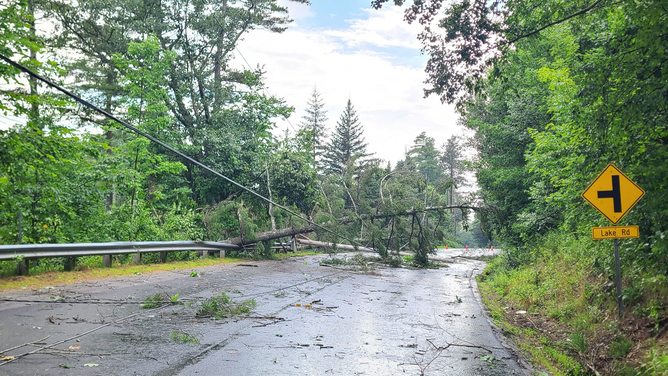 Severe storms cause trees to fall in New Hampshire