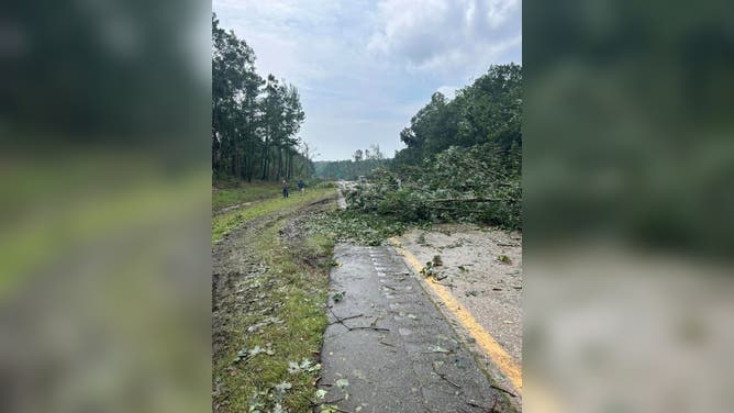Tornado damage on I-95 in North Carolina