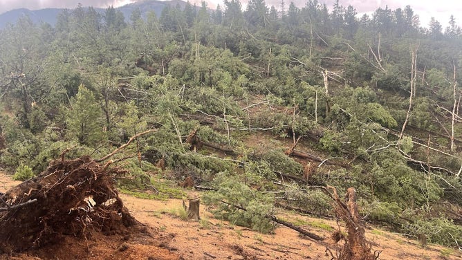 Damage From Uncommon Mountain Tornado Found Near Colorado's Pikes Peak ...