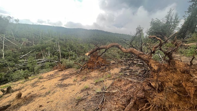 Damage from uncommon mountain tornado found near Colorado's Pikes Peak ...