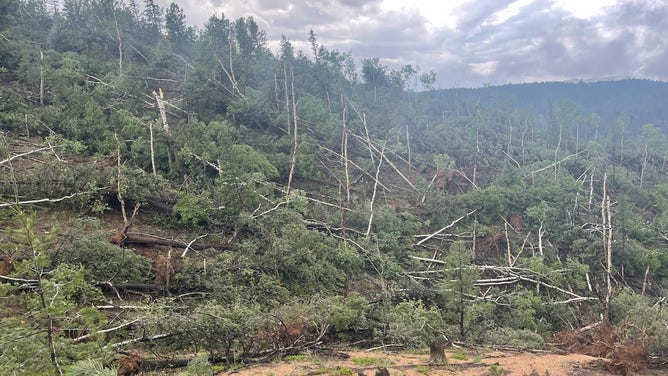 Damage from uncommon mountain tornado found near Colorado's Pikes Peak ...