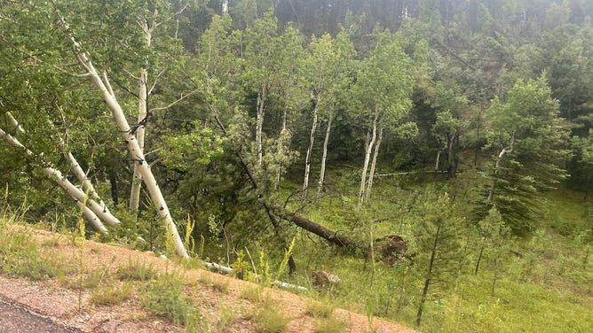 Damage From Uncommon Mountain Tornado Found Near Colorado's Pikes Peak ...