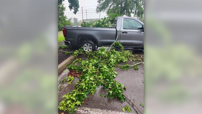 Tree limbs fell on a truck near Franklin, Tennessee, on July 18, 2023.