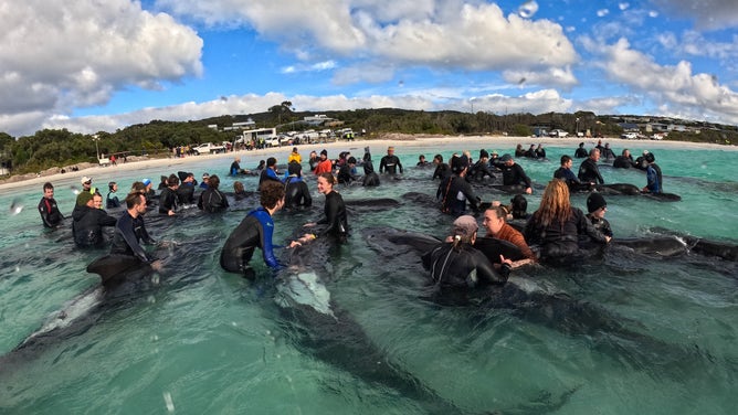 The Parks and Wildlife Service of Western Australia