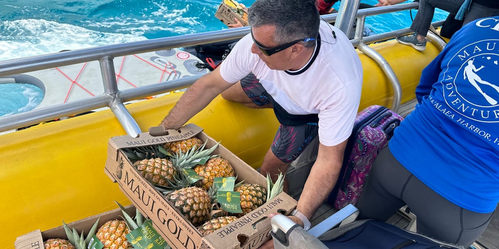 Hawaii pineapple farm donates pineapples, delivers supplies to wildfire