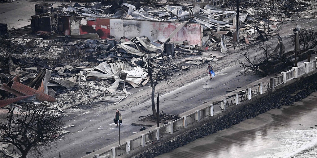 Drone video captures Hawaii landscape scorched by deadly wildfires