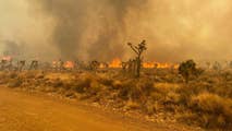 Wildfire season could be below normal in US this year but it's not all good news