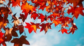 The Daily Weather Update from FOX Weather: Here comes fall