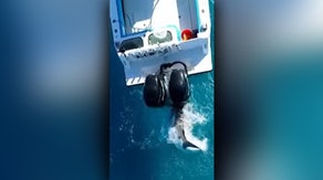 Drone video captures shark attacking boat off Florida coast