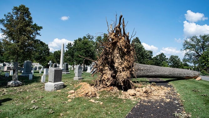 Storm damage in Arlington National Cemetery.