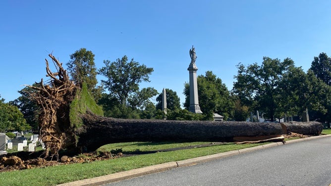 Storm damage in Arlington National Cemetery.