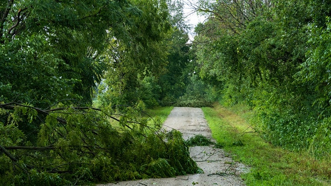 Austin Jones said he caught the tornado north of Richmond, Missouri, about 6 p.m. Friday.