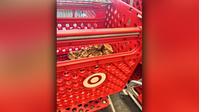 A Columbian red-tailed boa constrictor was found in a shopping cart in the Sioux City Target on Saturday.