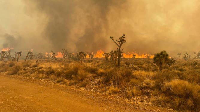 Flames on the leading edge of the York Fire. August 3, 2023.