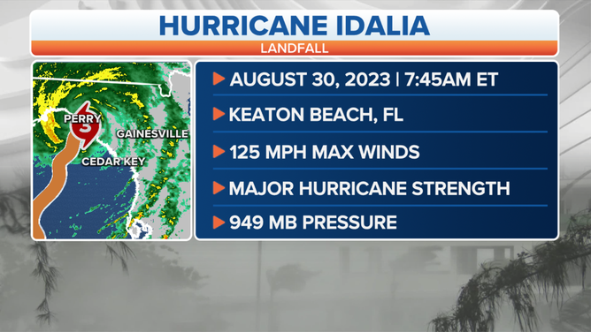 Hurricane Idalia makes landfall in Florida