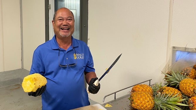 A man cuts fresh pineapple. August 11, 2023.