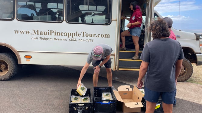 A pineapple tour bus delivering pineapples and supplies.