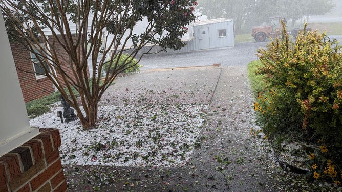 Hail accumulating in a Williamsport, Maryland backyard.