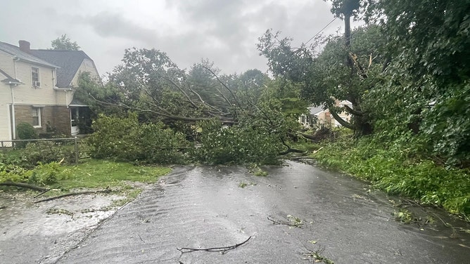 Storm damage could be seen Friday morning in Johnston, Rhode Island.