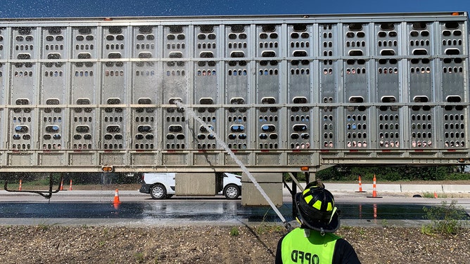 On Thursday, firefighters in Overland Park received a call for help on U.S. Highway 69 to assist a trailer full of pigs in the sweltering heat.