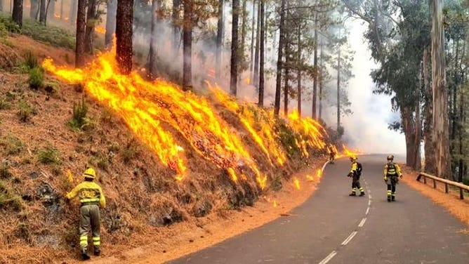 Firefighters fighting wildfire in Tenerife, Canary Islands, Spain. August 16, 2023.